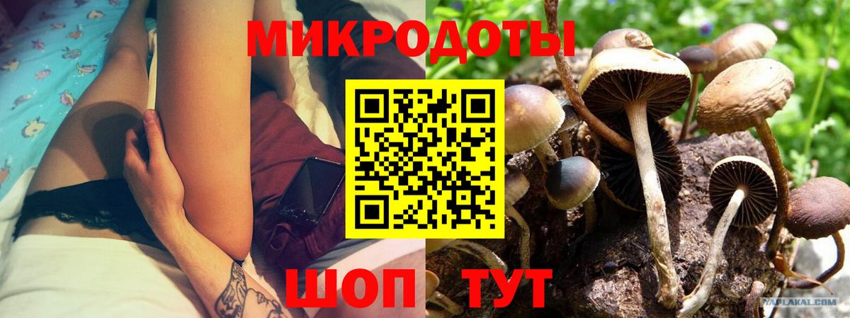 Галлюциногенные грибы мицелий  Псилоцибиновые грибы Magic Shrooms  закладки  Вход с VPN  Зима 