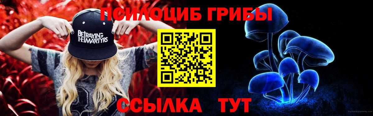 Псилоцибиновые грибы Psilocybe Зима